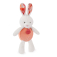 Doudou Bouncing Bunny 2v1