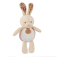 Doudou Bouncing Bunny 2v1