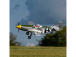 E-flite P-51D Mustang 1.0m PNP