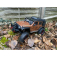 RC auto DF-4S PRO Crawler 313 mm 1:10, hnedá