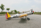 Ryan PT-22 Recruit 1/4 2,29 m