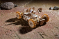 Ugears 3D drevené mechanické puzzle NASA, Lunárny rover