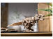 Ugears 3D drevené mechanické puzzle Tyranosaurus Rex