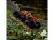 Axial RBX10 Ryft 4WD 1:10 RTR oranžový