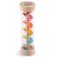 Bigjigs Baby Rain Stick Garden