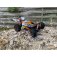 RC auto buggy BL06 bez kefy