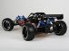 RC auto Himoto buggy Raptor 5XB