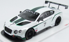 Truescale Bentley Continental Gt3 Goodwood Festival Of Speed 2013 1:18 bielo-zelený