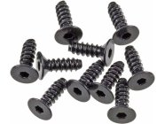 Axial vrut imbus 2,6 x 8 mm FH (10)