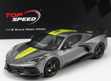 Truescale Chevrolet Corvette Stingray N 0 Imsa Gtlm Championship Edition 2020 1:18 sivo žltá