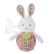 Doudou Bouncing Bunny 2v1