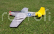 P-51 Mustang EPP biely EPA kategória 840mm (Splash.)