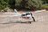 RC lietadlo Cessna 182