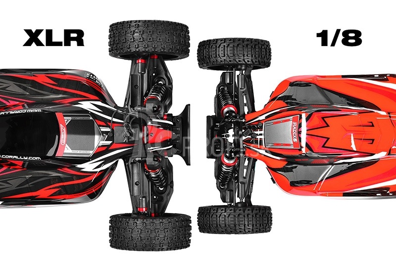 ASUGA XLR 6S – BUGGY 4WD – PRO ROLLER šasi – bez elektroniky – červená