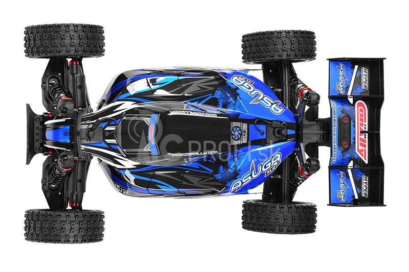 ASUGA XLR 6S – BUGGY 4WD – PRO ROLLER šasi – bez elektroniky – modrá