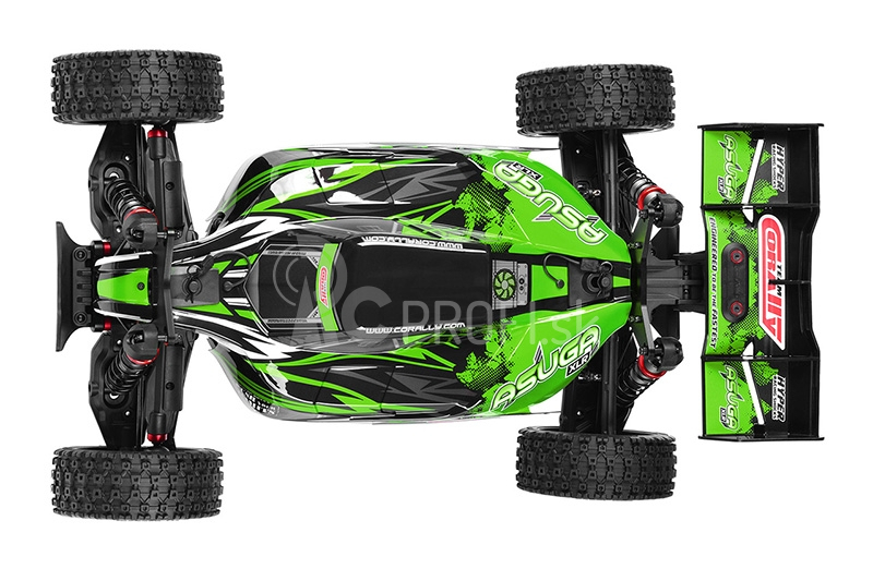 ASUGA XLR 6S – BUGGY 4WD – PRO ROLLER šasi – bez elektroniky – zelená