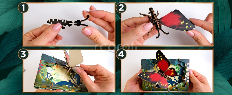 EscapeWelt 3D drevené puzzle Butterfly