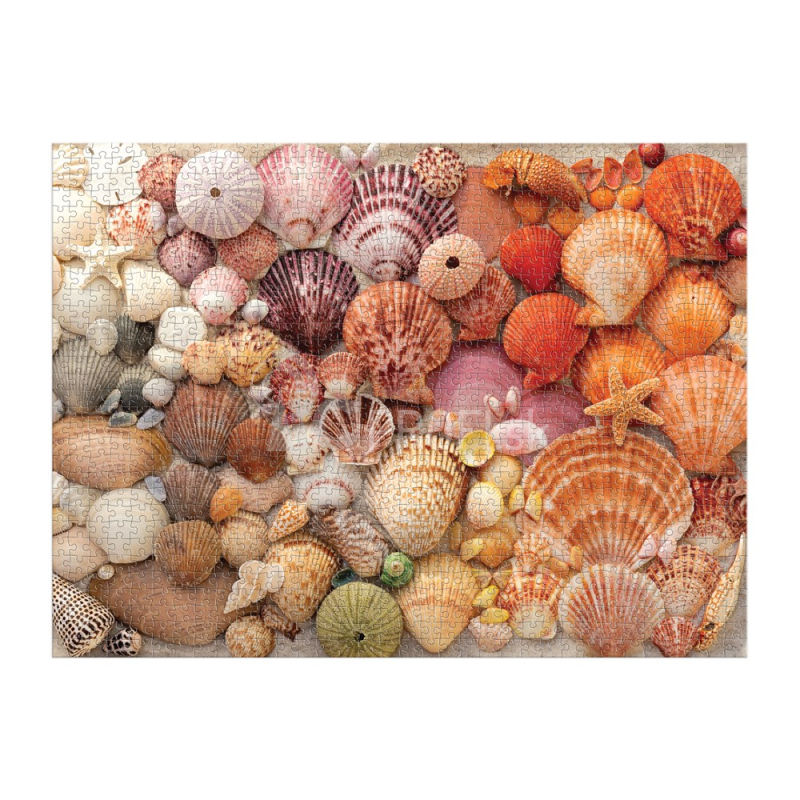 Galison Puzzle Shining Shells 1000 dielikov