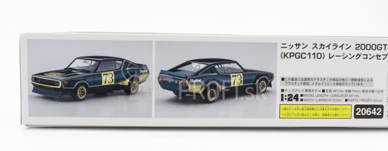 Hasegawa Nissan Skyline 2000 Gt-r N 73 (kpgc110) Racing Concept 1973 1:24 /