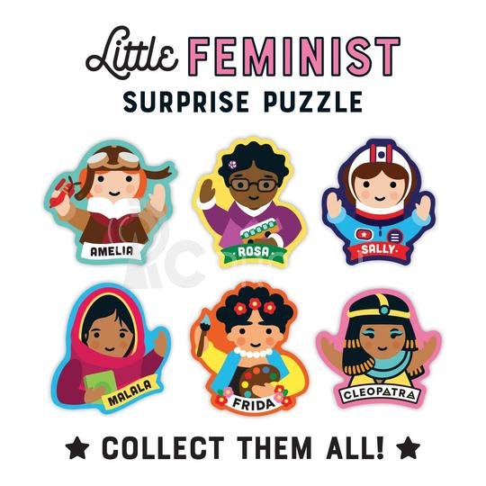 Mudpuppy Surprise Puzzle Feminist 70 dielikov