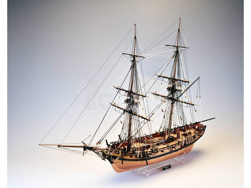 Vanguard Models HMS Speedy 1782 1:64