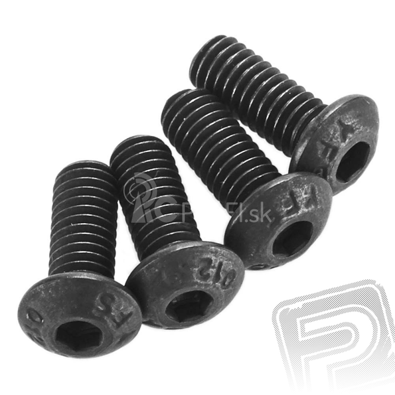 Imbusové skrutky 4x10mm (4 ks.)