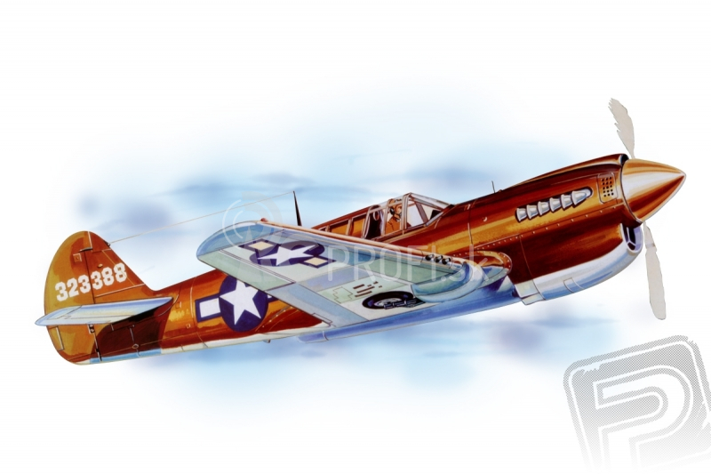 P - 40 Warhawk (711mm) laser.vyrezávaný